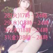 ヒメ日記 2026/07/27 21:16 投稿 ひまわり シルクハット
