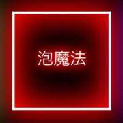 ヒメ日記 2026/07/29 08:50 投稿 ひまわり シルクハット