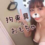 ヒメ日記 2026/08/08 16:42 投稿 ひまわり シルクハット