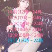 ヒメ日記 2026/09/13 21:58 投稿 ひまわり シルクハット