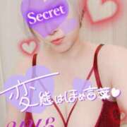 ヒメ日記 2025/07/19 15:12 投稿 ゆえ 柏人妻花壇