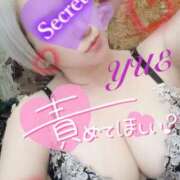 ヒメ日記 2025/08/29 15:30 投稿 ゆえ 柏人妻花壇