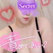 ヒメ日記 2025/09/12 15:07 投稿 ゆえ 柏人妻花壇