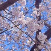 ヒメ日記 2026/03/28 09:47 投稿 花山さおり 美魔女エステ