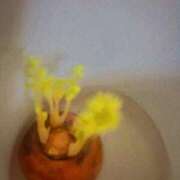 ヒメ日記 2026/04/11 00:07 投稿 花山さおり 美魔女エステ