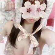 ヒメ日記 2025/09/29 02:49 投稿 わかば【甘えん坊の本性】 STELLA TOKYO－ステラトウキョウ－