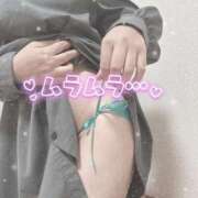 ヒメ日記 2026/04/29 10:00 投稿 ビビ Ageha(アゲハ)