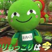 ヒメ日記 2025/10/27 10:50 投稿 モコ MOMO(モモ)