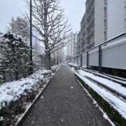 モコ こなぁ〜ゆきぃ〜⛄️ MOMO(モモ)