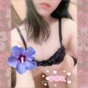 ヒメ日記 2025/08/05 20:01 投稿 ゆきな TALENT（タレント）