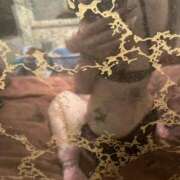 ヒメ日記 2025/12/25 10:06 投稿 ゆきな TALENT（タレント）