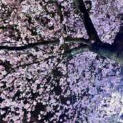 ヒメ日記 2026/04/09 08:12 投稿 ゆきな TALENT（タレント）