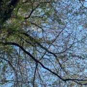 ヒメ日記 2026/04/11 18:42 投稿 ゆきな TALENT（タレント）