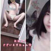 ヒメ日記 2025/07/09 08:43 投稿 みく 恋する人妻