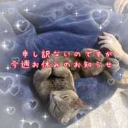 ヒメ日記 2026/02/11 13:17 投稿 みく 恋する人妻