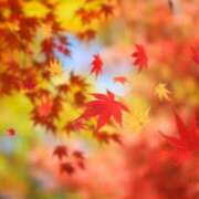 ヒメ日記 2025/10/02 10:10 投稿 安田 梨花 こあくまな熟女たち三河店（KOAKUMAグループ）