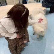 ヒメ日記 2025/12/28 03:00 投稿 イマリ◆SP可◆ Ageha(アゲハ)