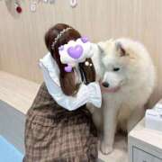 ヒメ日記 2025/12/29 17:00 投稿 イマリ◆SP可◆ Ageha(アゲハ)