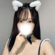 ヒメ日記 2025/06/13 09:50 投稿 Siho/シホ ギャルズネットワーク 姫路