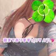 ヒメ日記 2026/01/23 08:59 投稿 もと 土浦ハッピーマットパラダイス