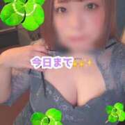 ヒメ日記 2026/01/25 09:12 投稿 もと 土浦ハッピーマットパラダイス