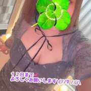 ヒメ日記 2026/02/10 14:17 投稿 もと 土浦ハッピーマットパラダイス