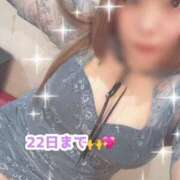 ヒメ日記 2026/02/20 14:57 投稿 もと 土浦ハッピーマットパラダイス