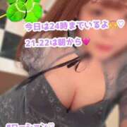 ヒメ日記 2026/02/20 18:07 投稿 もと 土浦ハッピーマットパラダイス