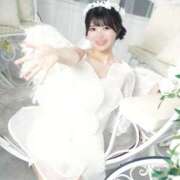 かなめ 🐹19:30のみ🈳 シャングリラ