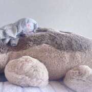 ヒメ日記 2025/06/29 12:45 投稿 ちゆ 奥様特急上越店