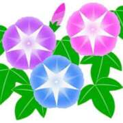 林(はやし) 本日のお礼 人妻最後の砦 小山店