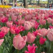 ヒメ日記 2026/02/04 08:43 投稿 むぎ 手コキガールズコレクション