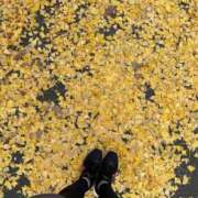 ヒメ日記 2025/11/27 13:08 投稿 さな アクトレス池袋店(ユメオト)