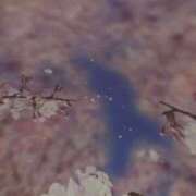 ヒメ日記 2025/06/08 01:27 投稿 沙月（さつき） 人妻の蜜