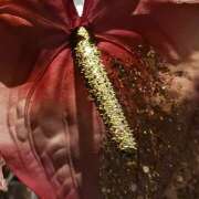 ヒメ日記 2025/10/08 13:40 投稿 岩田ルリ 五十路マダム姫路店