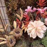 ヒメ日記 2025/10/24 18:12 投稿 岩田ルリ 五十路マダム姫路店