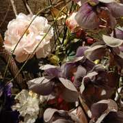 ヒメ日記 2026/01/23 13:58 投稿 岩田ルリ 五十路マダム姫路店