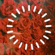 ヒメ日記 2026/01/26 11:18 投稿 岩田ルリ 五十路マダム姫路店