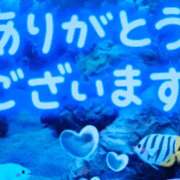ヒメ日記 2026/03/21 05:02 投稿 岩田ルリ 五十路マダム姫路店
