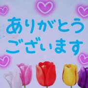 ヒメ日記 2026/03/22 06:20 投稿 岩田ルリ 五十路マダム姫路店