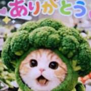 岩田ルリ 昨夜のパークY様ありがとう 五十路マダム姫路店