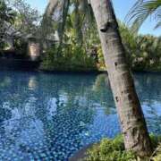 ヒメ日記 2025/08/07 13:07 投稿 りほ ハピネス東京