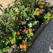 ヒメ日記 2025/09/03 14:07 投稿 りほ ハピネス東京