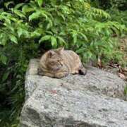 ヒメ日記 2025/09/14 13:18 投稿 りほ ハピネス東京