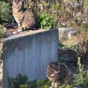 ヒメ日記 2025/09/15 08:27 投稿 りほ ハピネス東京