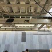 りほ 見つかりますか？(o^^o)🐾 ハピネス東京