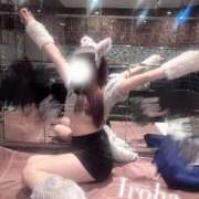 ヒメ日記 2025/10/31 00:17 投稿 Iroha THE PREMIUM （プレミアム）