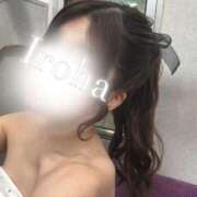 ヒメ日記 2026/02/16 04:10 投稿 Iroha THE PREMIUM （プレミアム）