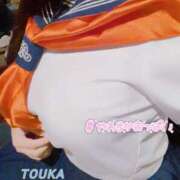 ヒメ日記 2025/05/31 15:27 投稿 とうか 甘えん坊なGcup美女！ ウエスト・コム