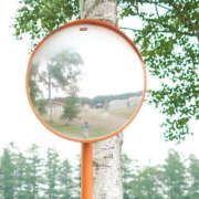 とうか 昨日はありがとう&次の出勤 ぺろぺろベロベロ専科 ぺろんちょ